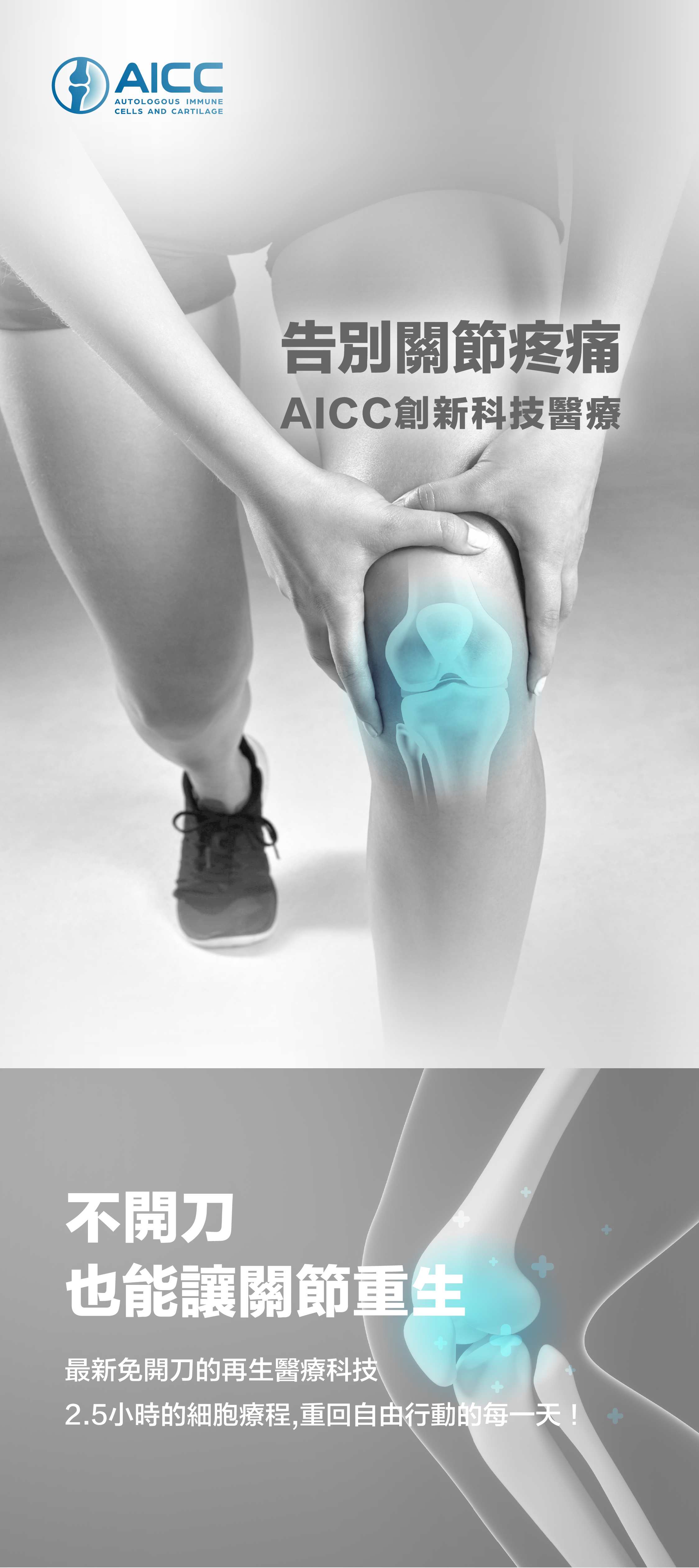 AICC活軟骨1-1